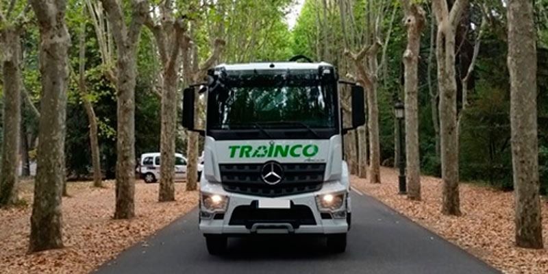 Un camión circula por una carretera bordeada de árboles.