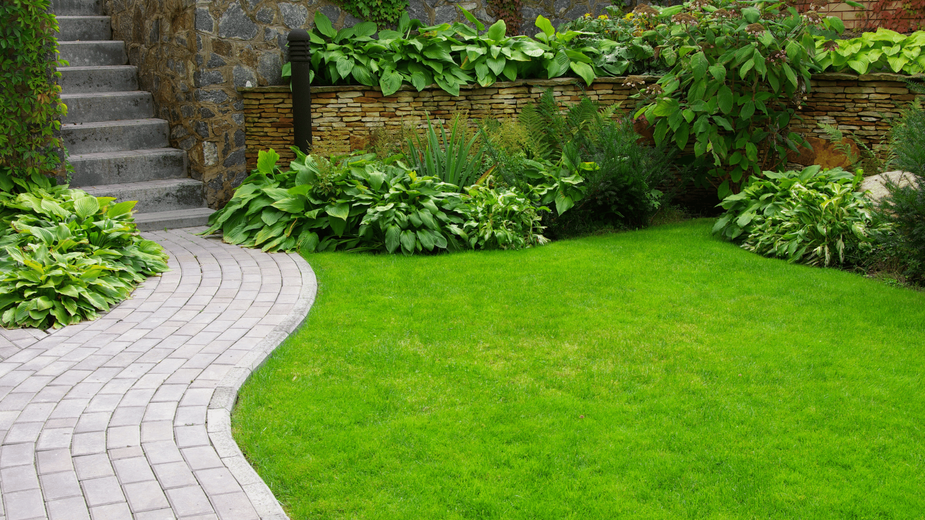 Una pasarela de ladrillos que conduce a un exuberante césped verde en un jardín.