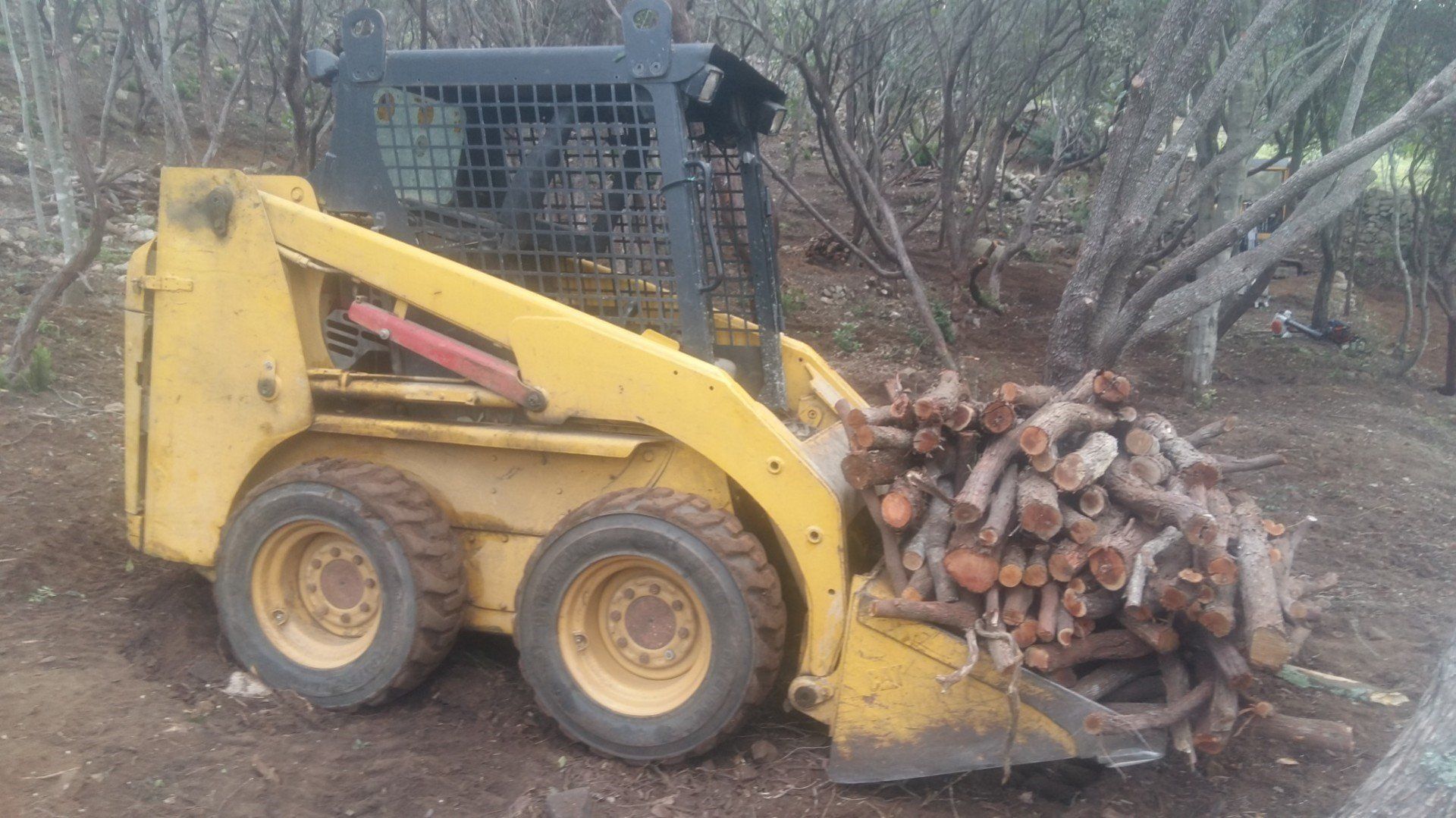 Évacuation de déchets verts