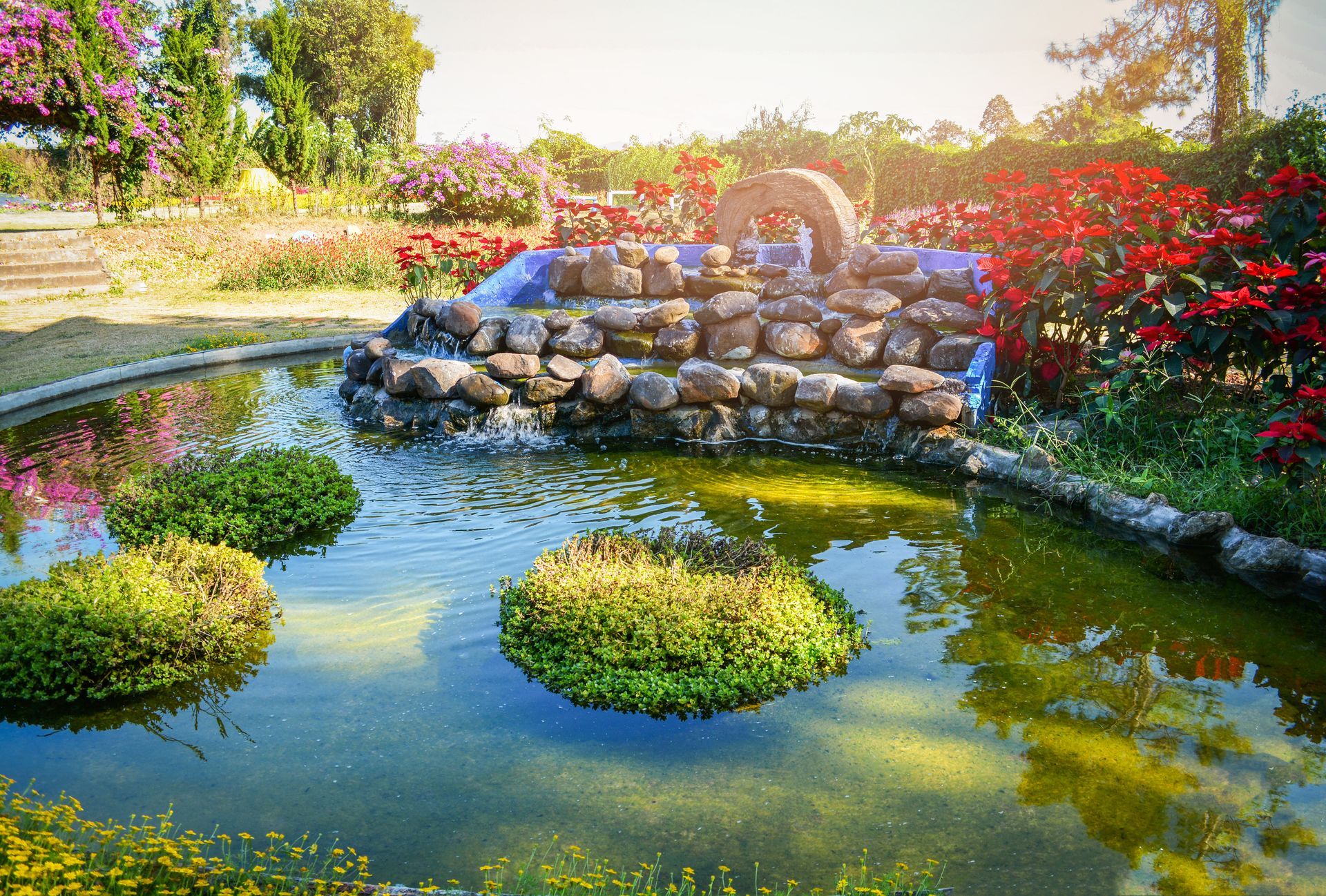 Sonnendurchfluteter Gartenteich mit Seerosenblättern, steinernem Wasserfall und leuchtenden Blumen rund ums Wasser