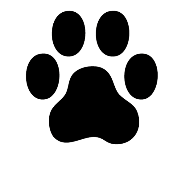 5d84f495a900008d988c3a49.png