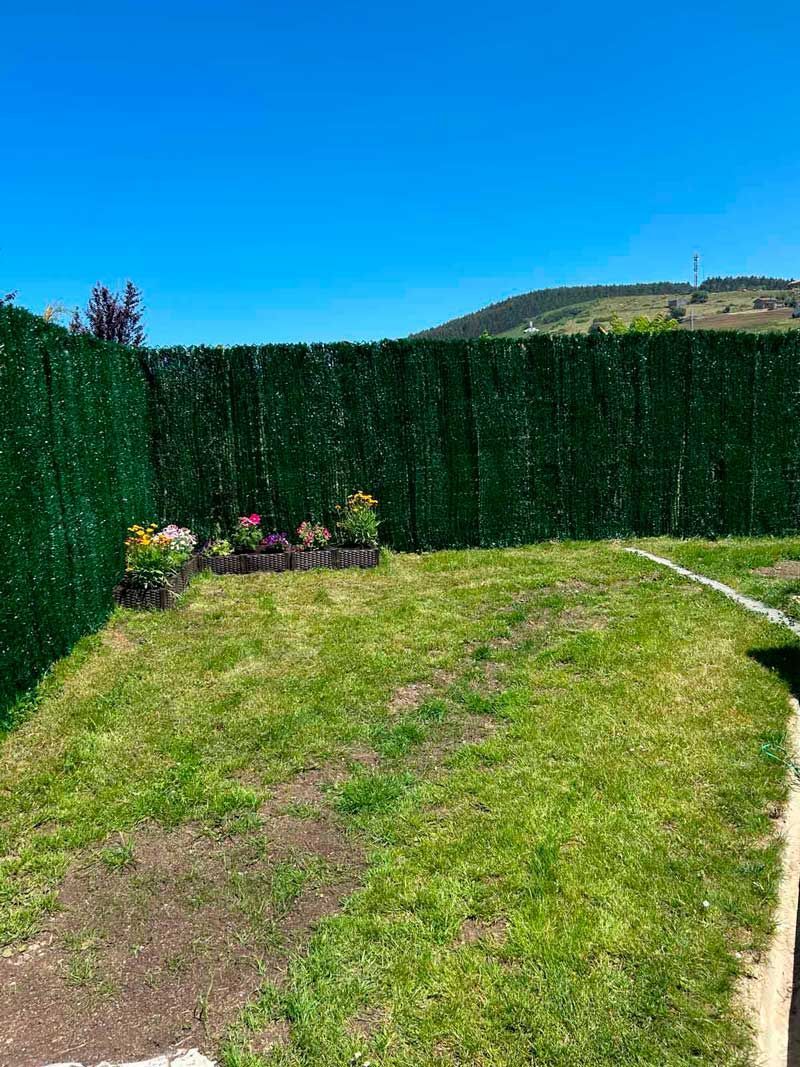 Un césped verde exuberante con un seto y flores al fondo.