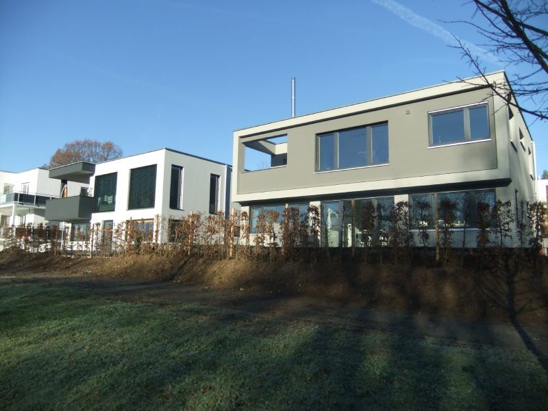 Moderne graue und weiße Häuser mit großen Fenstern vor blauem Himmel, der teilweise von kahlen Bäumen verdeckt wird.