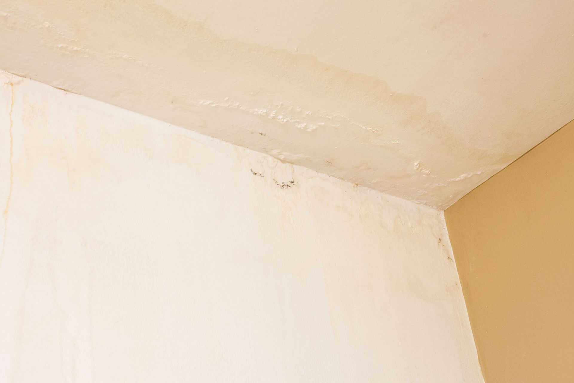 Esquina de pared y techo de color blanco con daños por agua y decoloración.