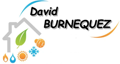 Logo de SAS DAVID BURNEQUEZ