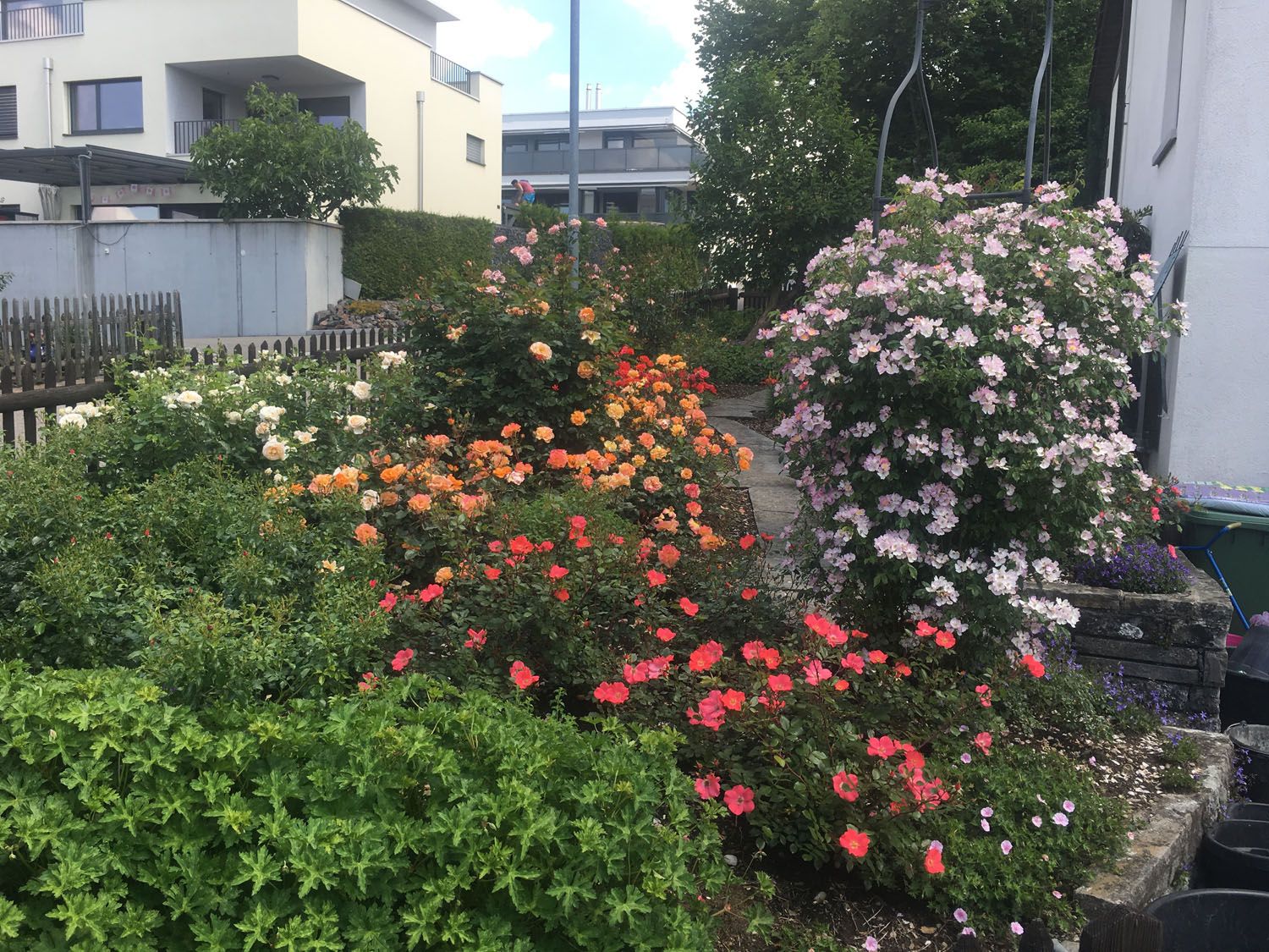 Gartenbau - t&t André Tanner Gartenbau – Pfäffikon ZH