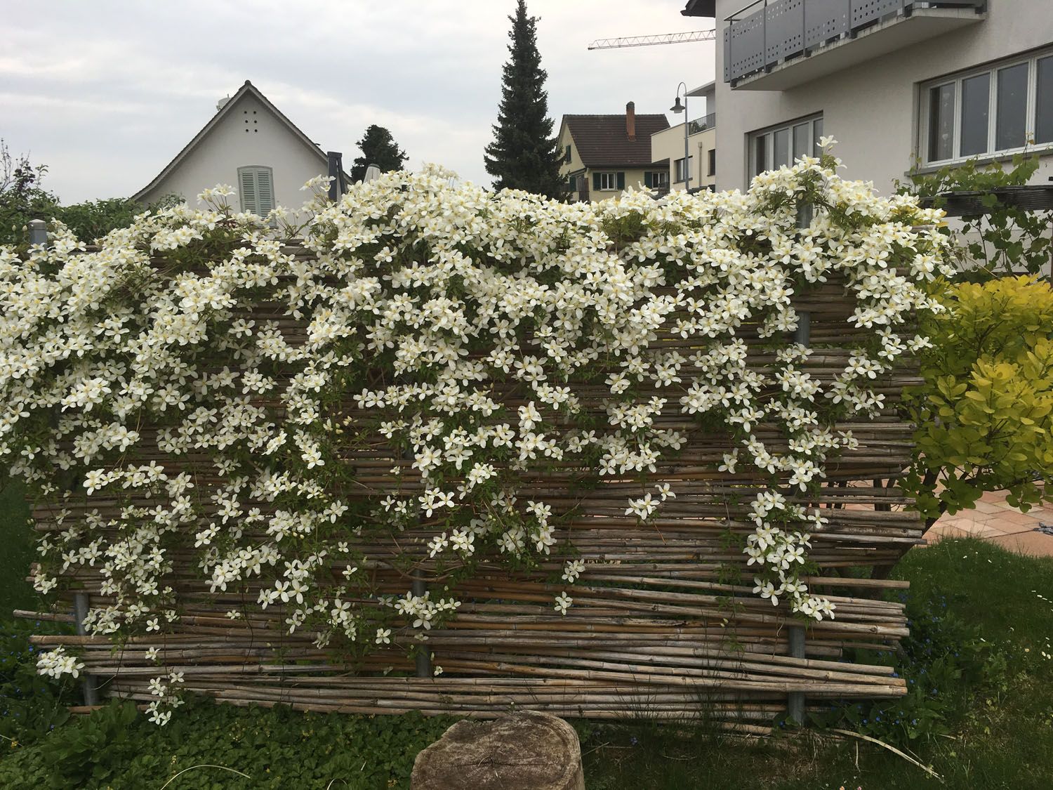 Gartenbau - t&t André Tanner Gartenbau – Pfäffikon ZH