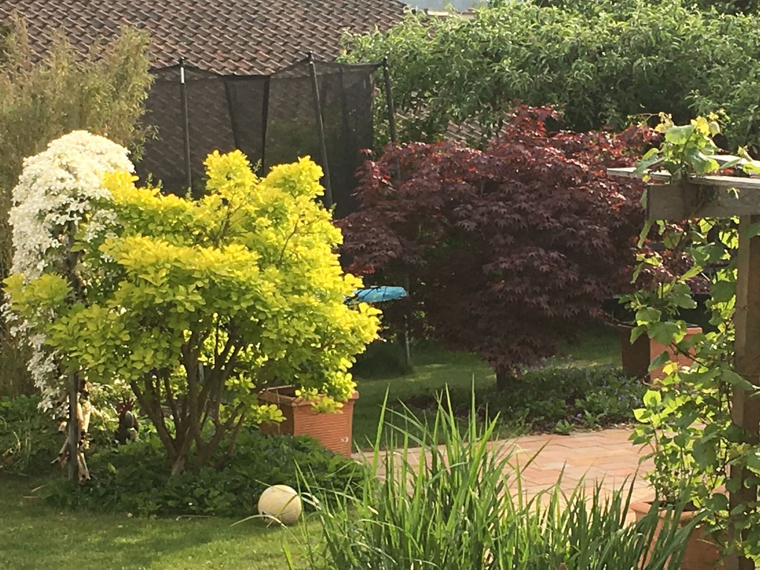 Gartenbau - t&t André Tanner Gartenbau – Pfäffikon ZH