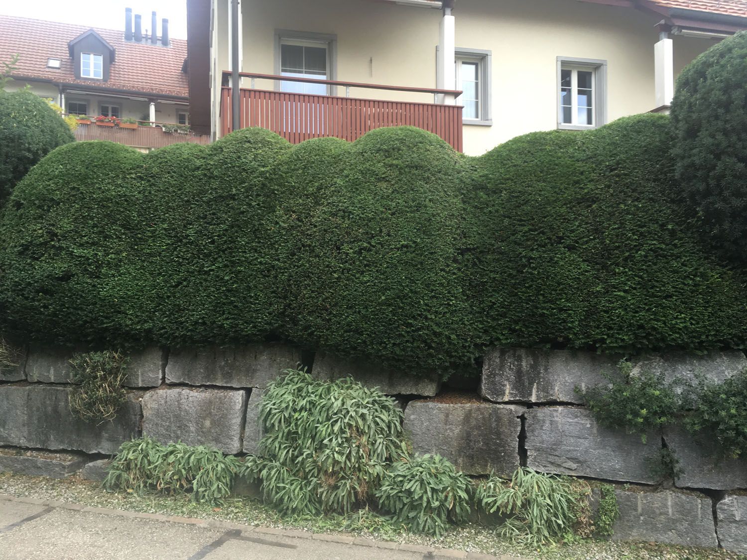 Gartenbau - t&t André Tanner Gartenbau – Pfäffikon ZH