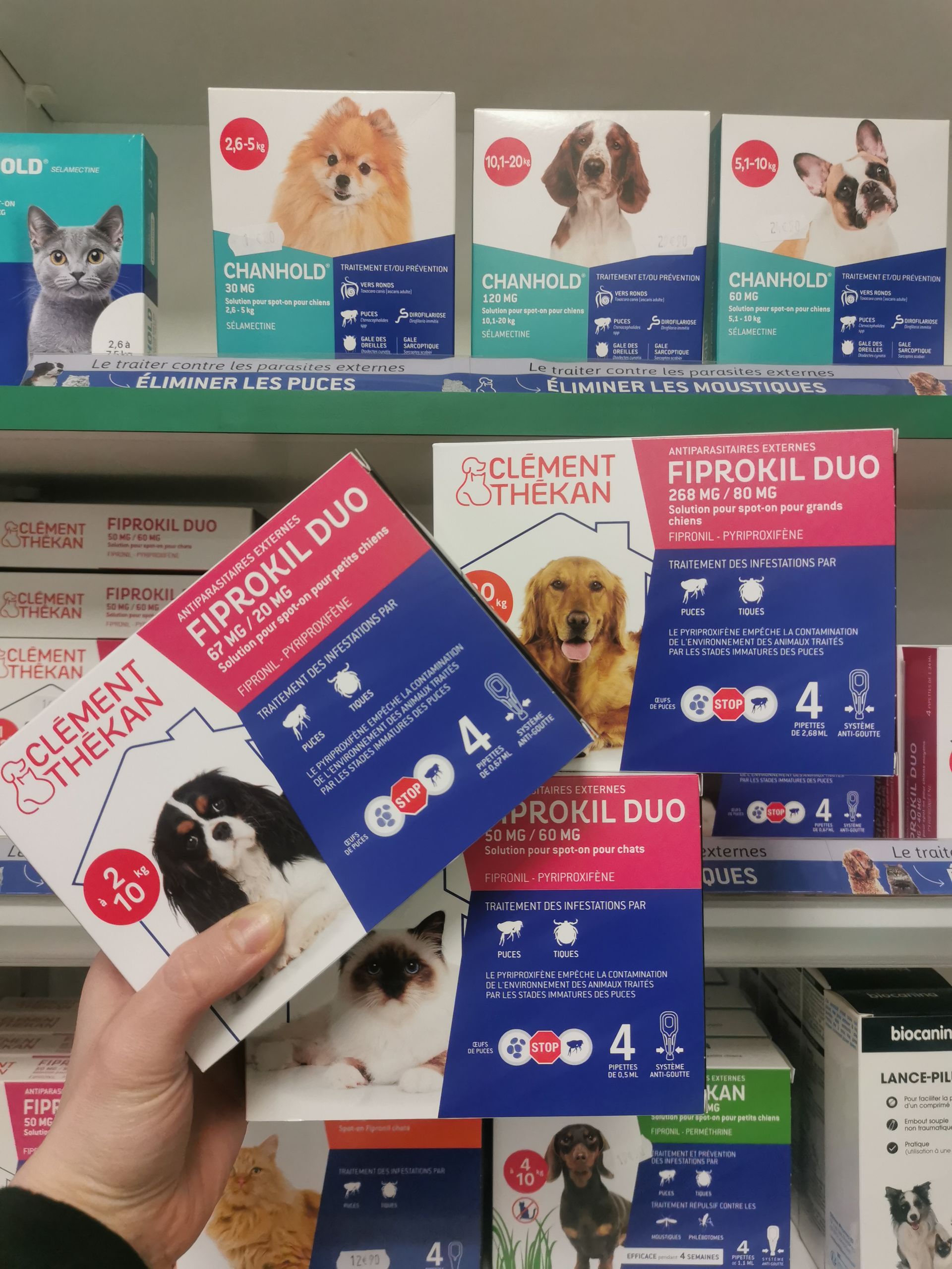 Une main tient une boîte de traitement anti-puces et anti-tiques Fiprokil Duo devant un rayon de magasin rempli de divers produits pour animaux de compagnie.