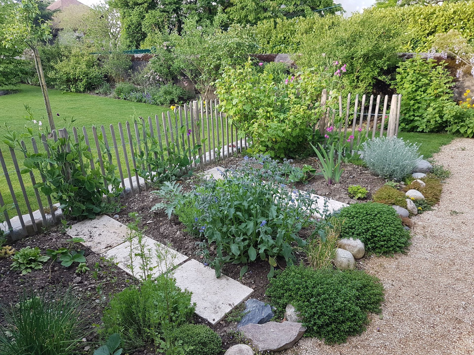 Jardin'art - renovation