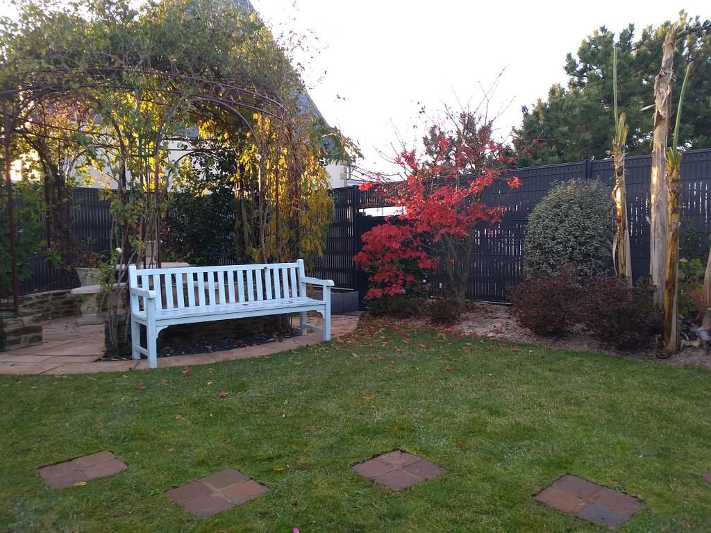 Jardin verdoyant avec banc de repos