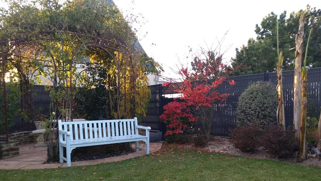Jardin avec banc, arbustes et plantes, clôture