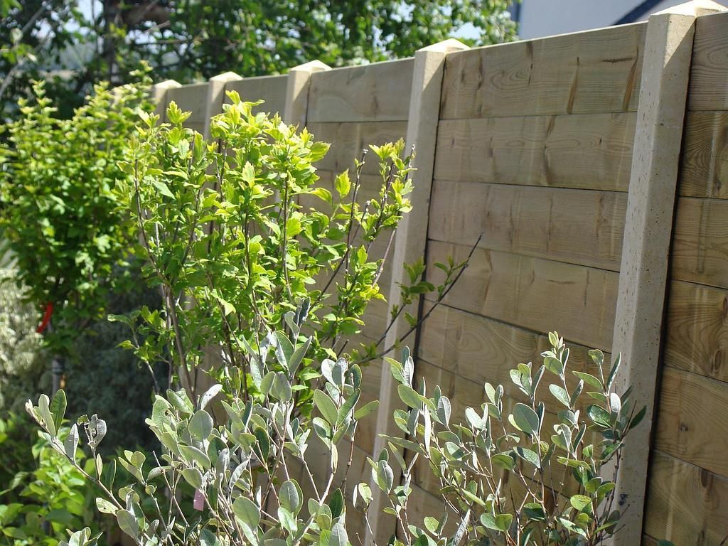 Clôture en bois et arbustes