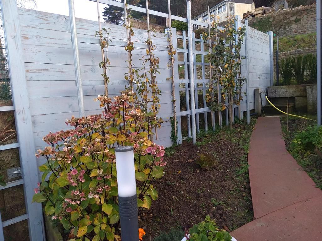 Allée de jardin par 2 L Paysage