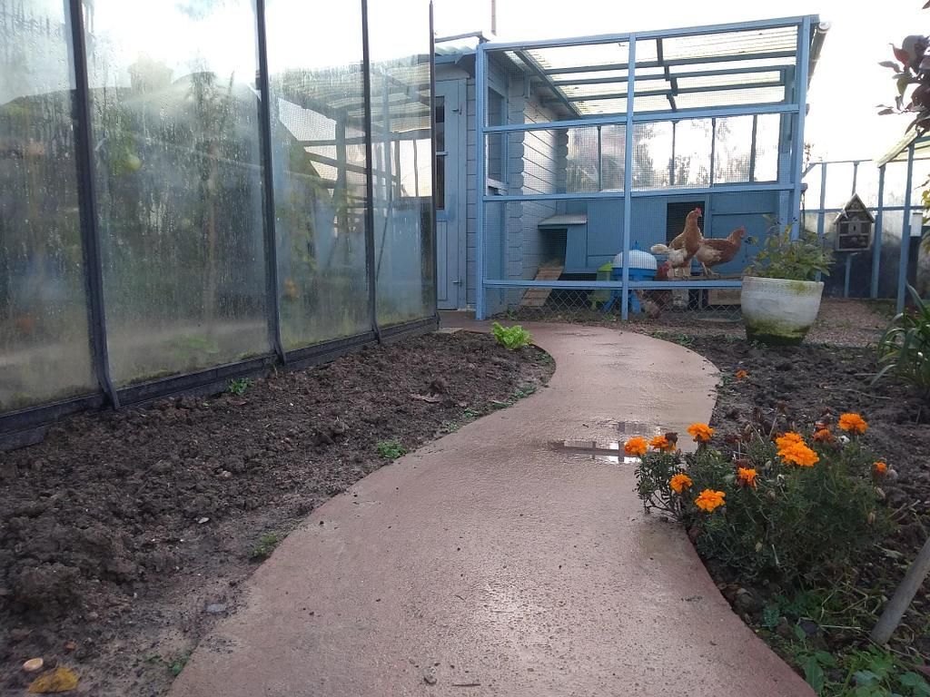 Allée de jardin par 2 L Paysage, suite du projet