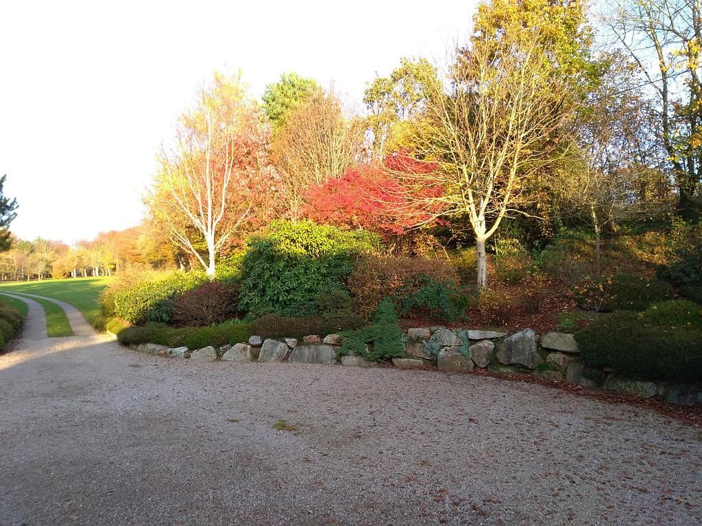 Allée et jardin arboré