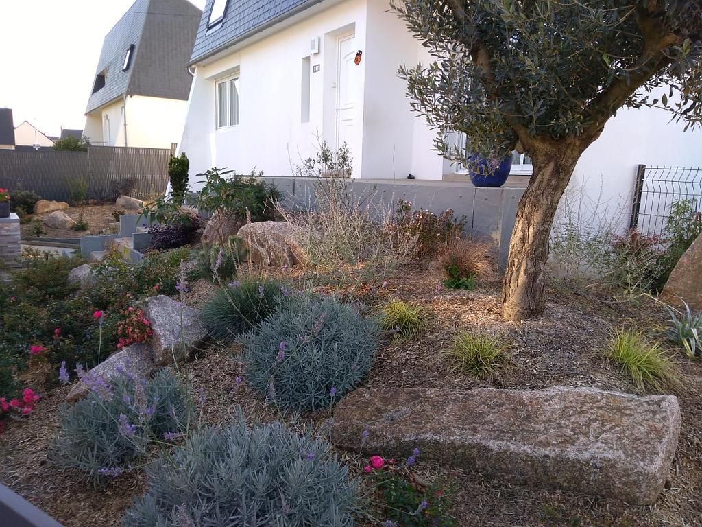 Massifs de fleurs et végétaux