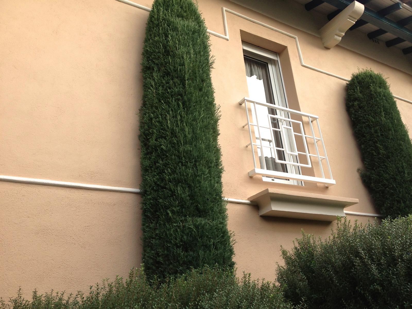 Fenêtre et ifs sur la façade rénovée de la villa ocre