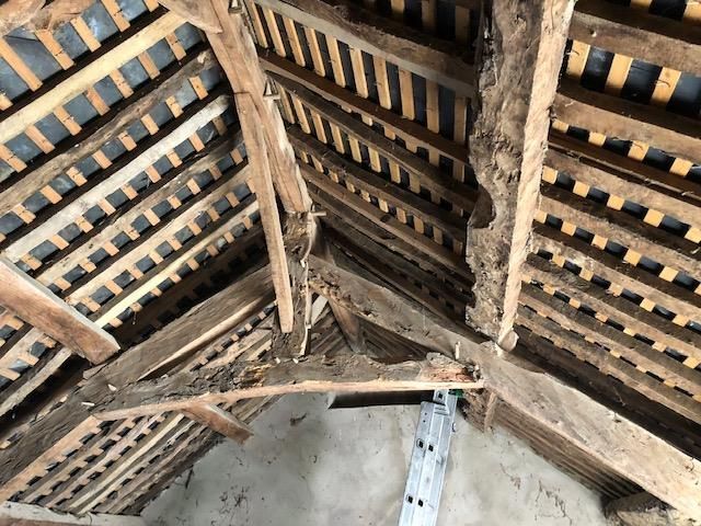 Traitement d'une charpente infestée d'insectes xylophages et de larves