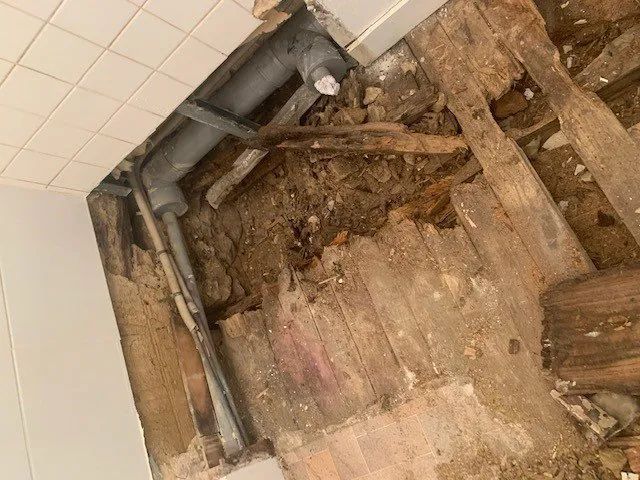 Mérules attaquant un plancher