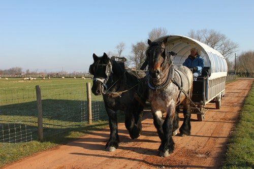 Ontspannen tocht met de huifkar