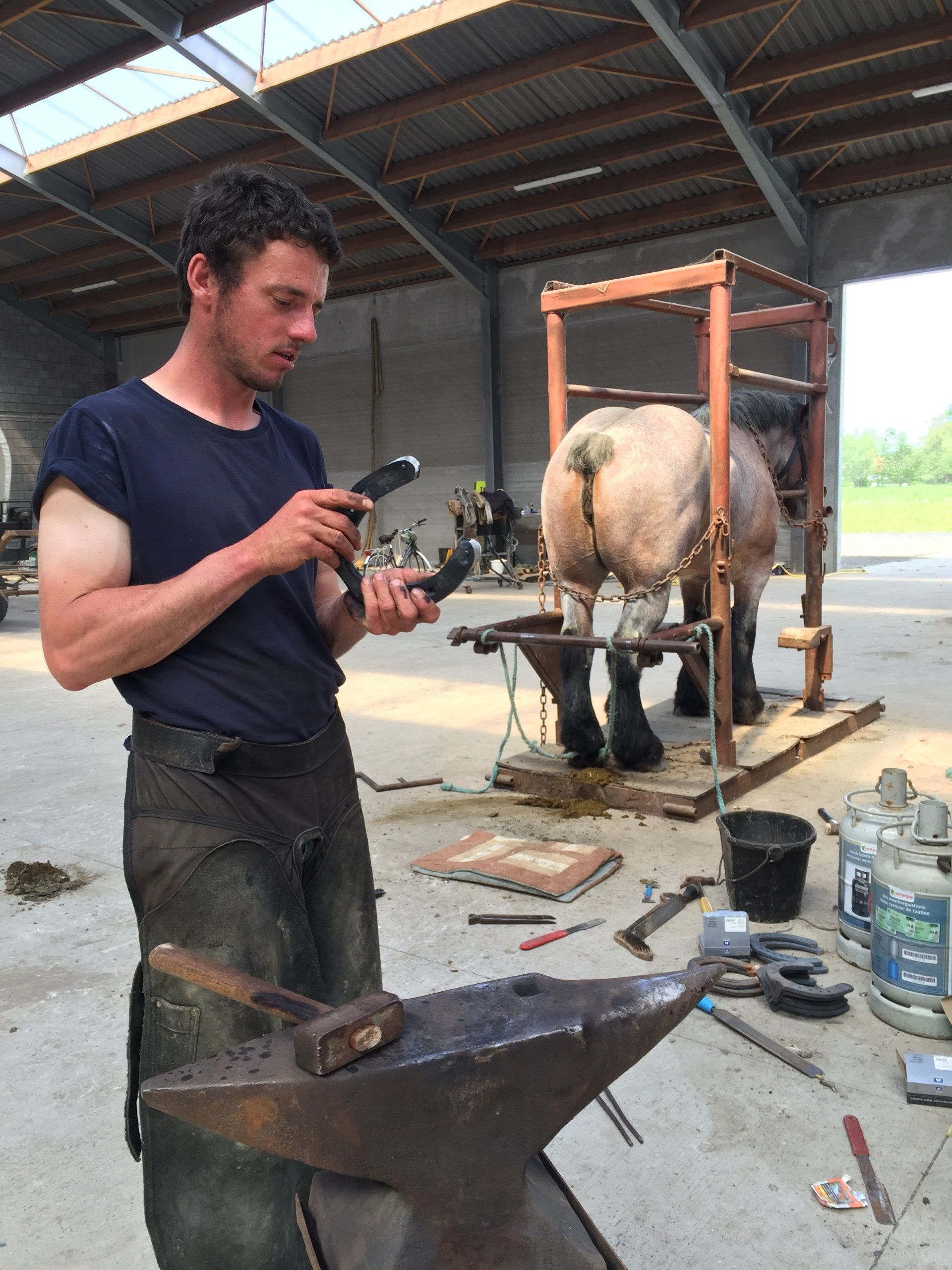 Een vakkundige hoefsmid