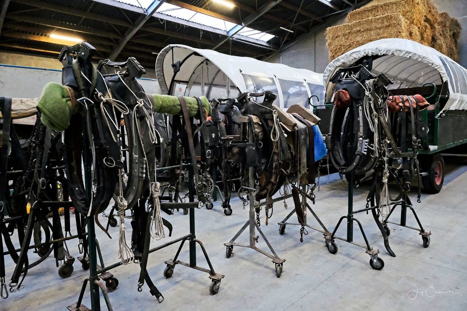 Alle teugels voor de paarden