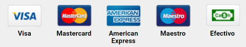 Logotipos de métodos de pago aceptados: Visa, Mastercard, American Express, Maestro y efectivo.