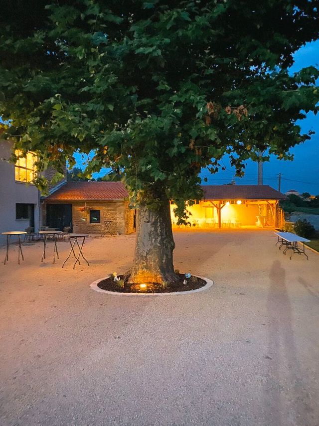 Cour intérieure au crépuscule, avec un grand arbre illuminé