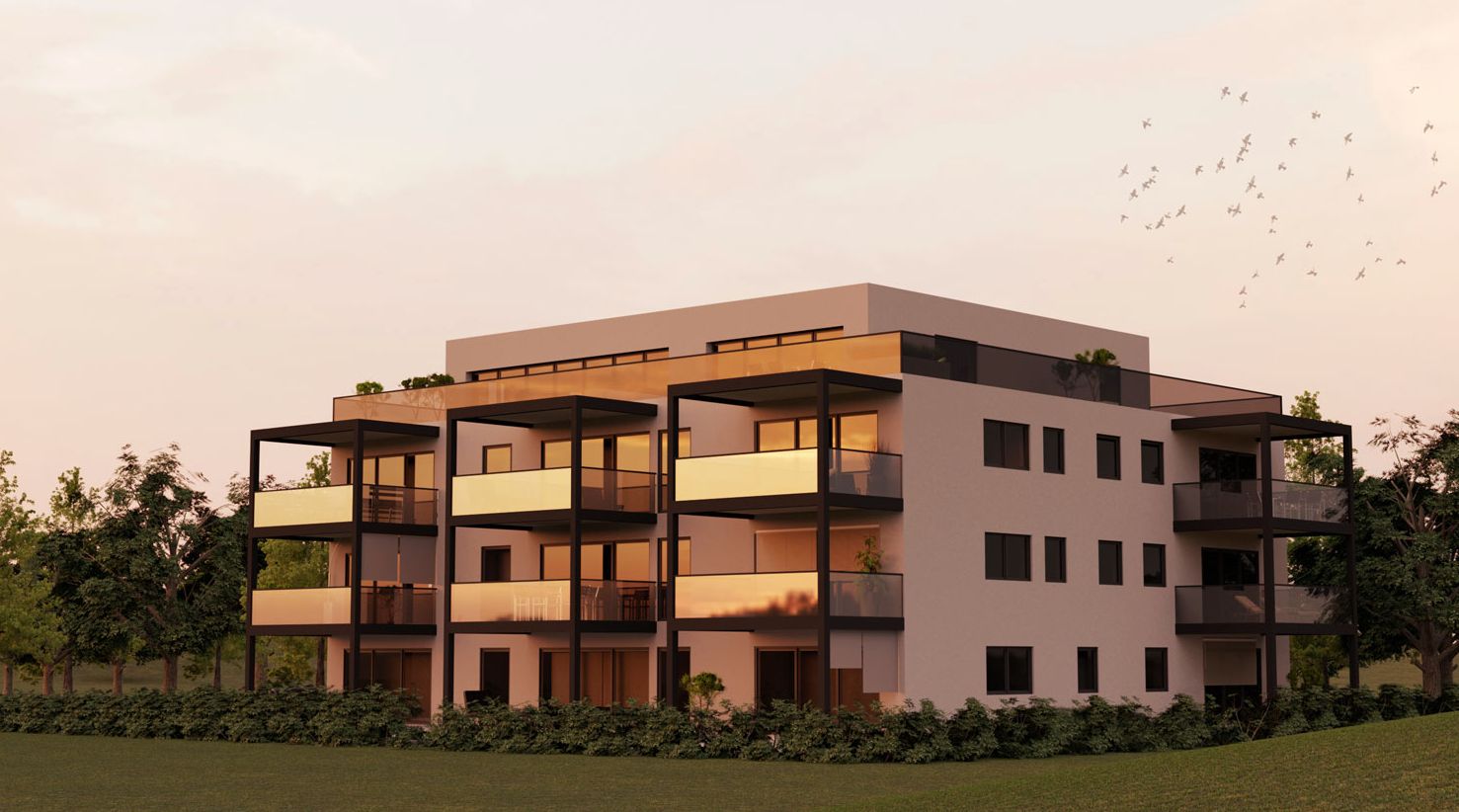 LeRi Immobilien GmbH - Wohlen AG