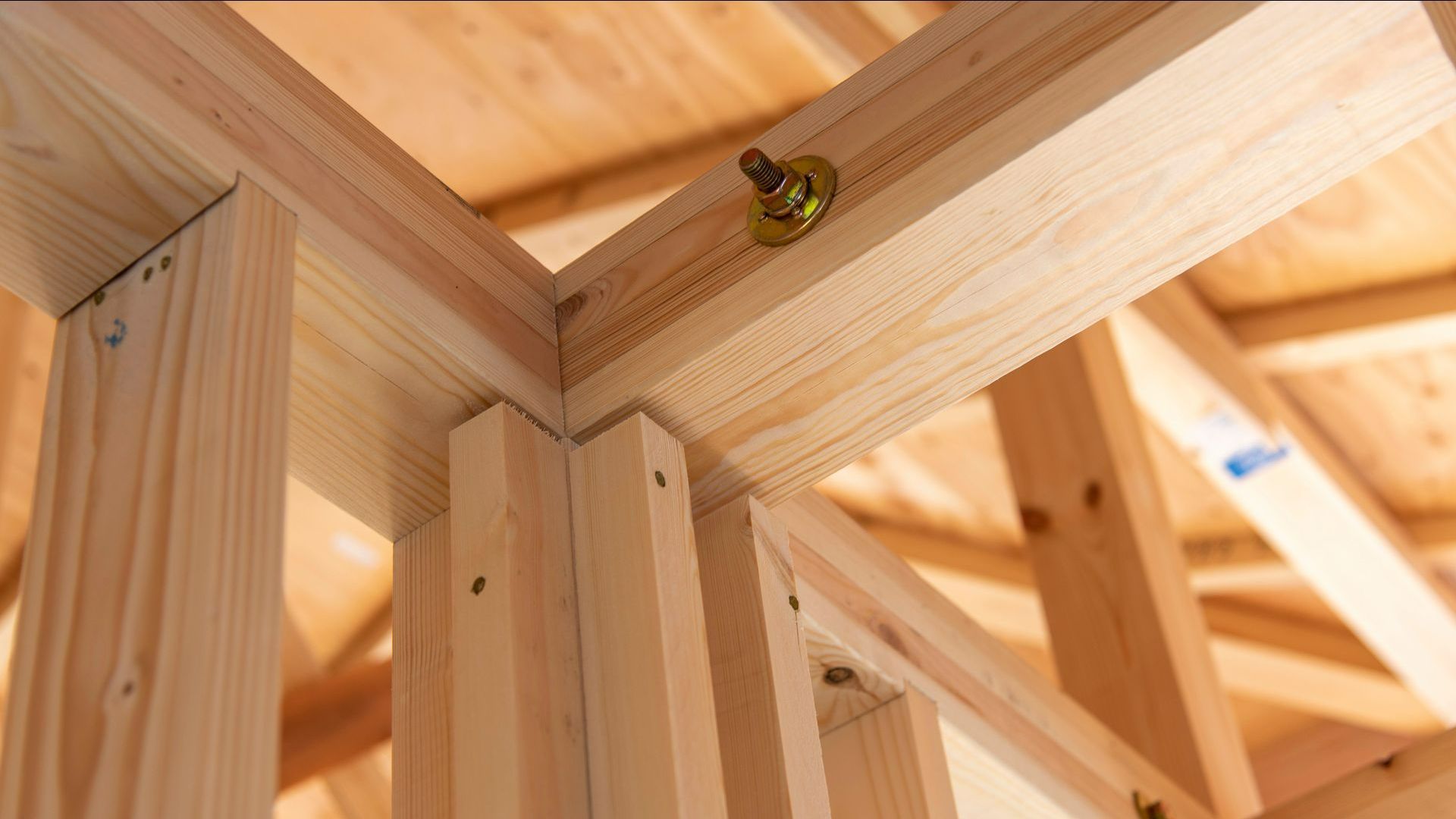 Des ossatures en bois clair.