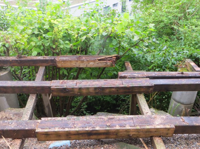 Bodenbeläge - Schreinerei H. Imboden aus Fürigen