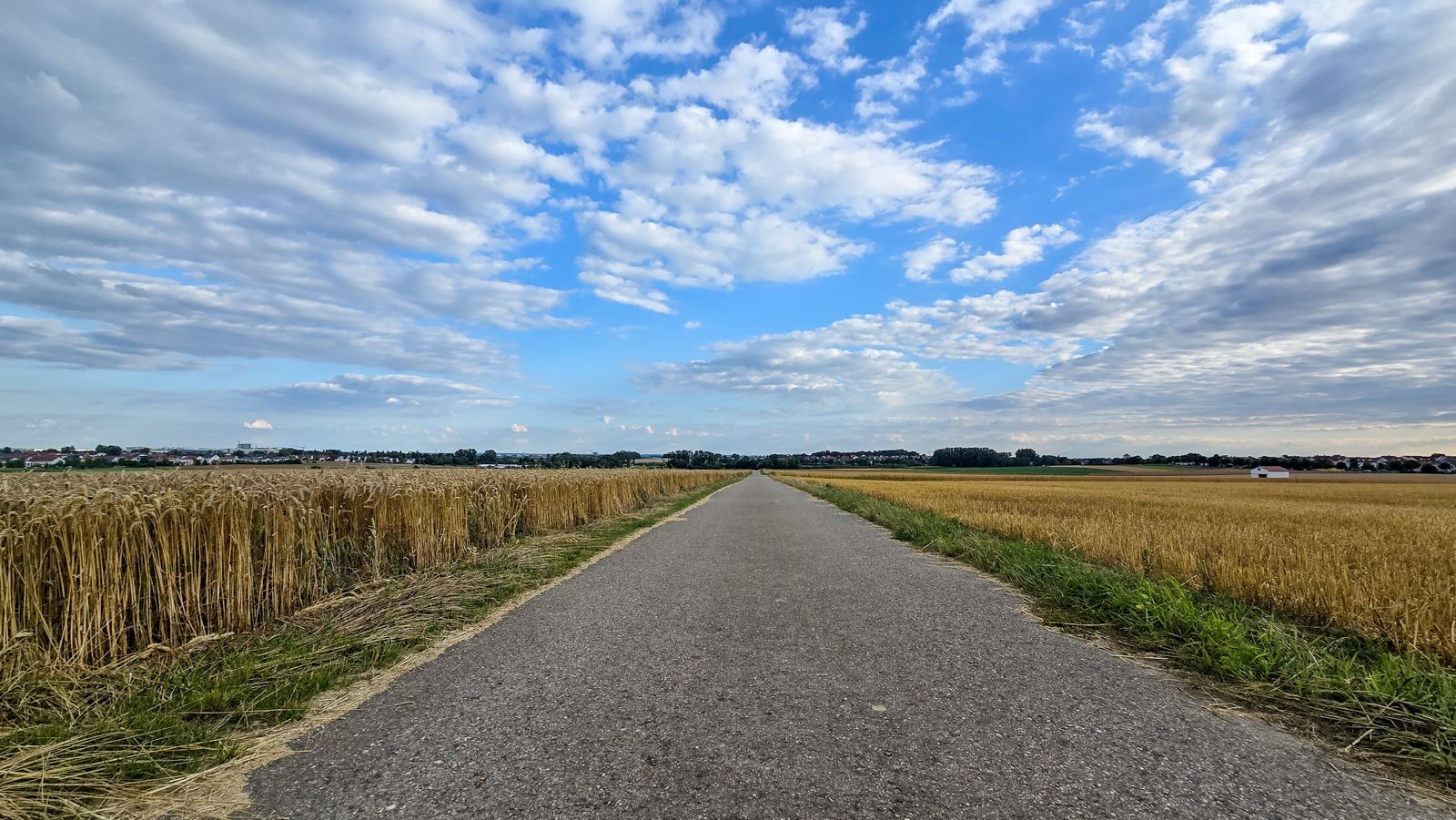 Das Stoppelfeld der Vergänglichkeit