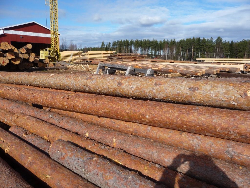 keski-nisulanhirsihuvilat