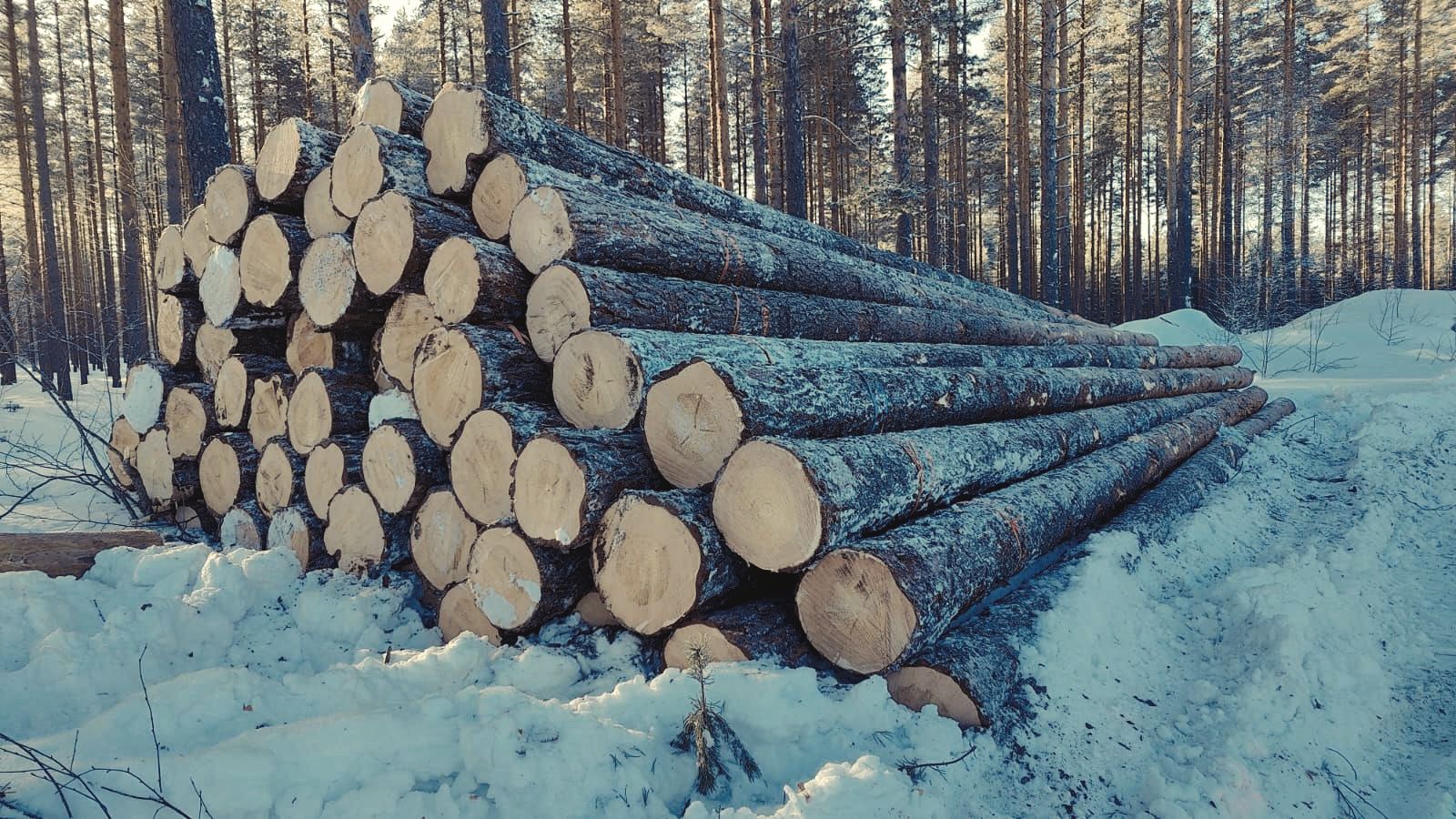 keski-nisulanhirsihuvilat