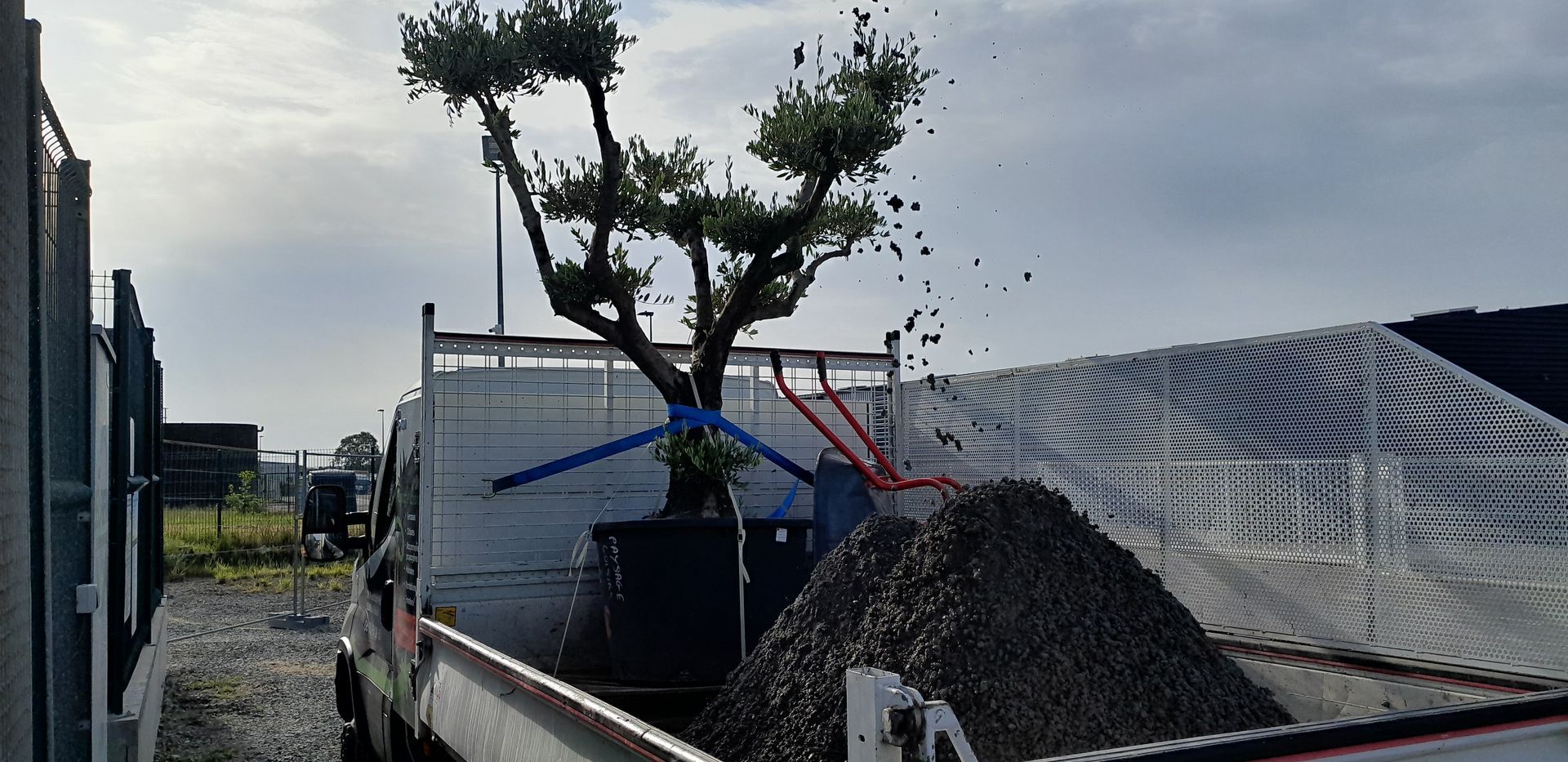 Une remorque contenant du béton ainsi qu’un arbuste