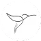 Dibujo lineal en negro de un colibr&iacute; en vuelo sobre un fondo blanco.