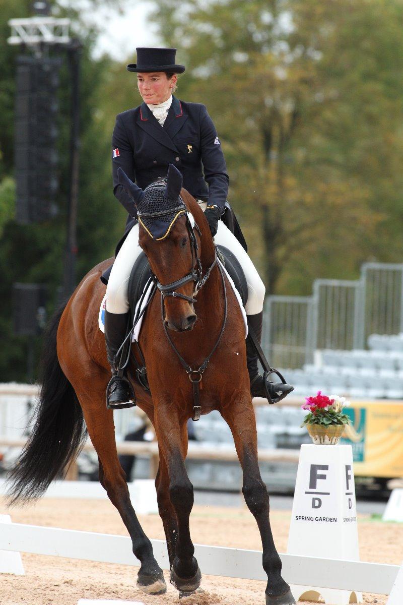 Concours de dressage à Nogent-sur-Eure
