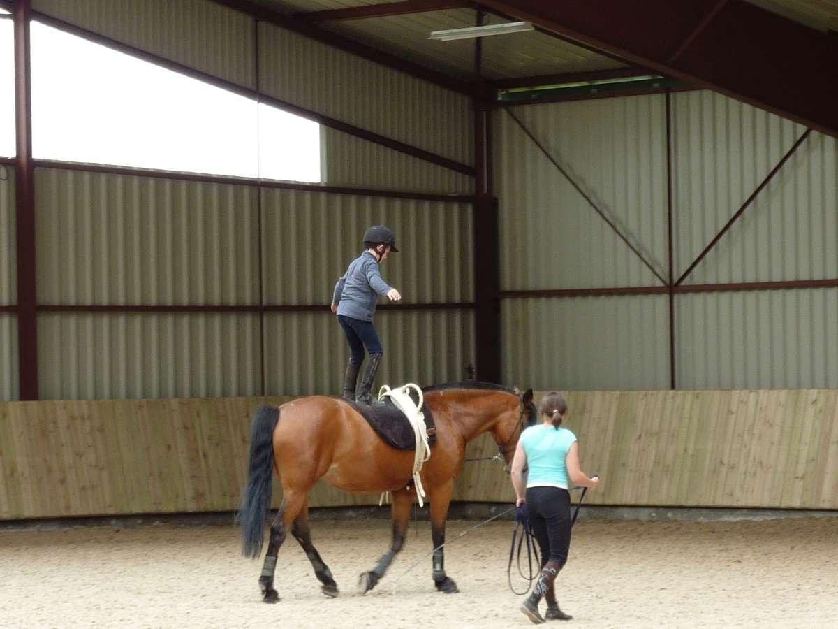 Voltige équestre à Nogent-sur-Eure