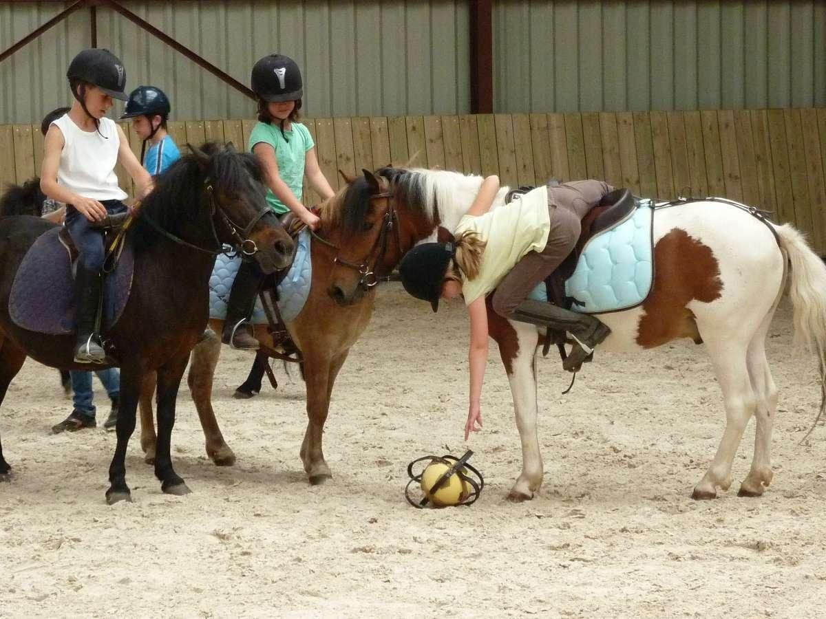 Equifun à Nogent-sur-Eure