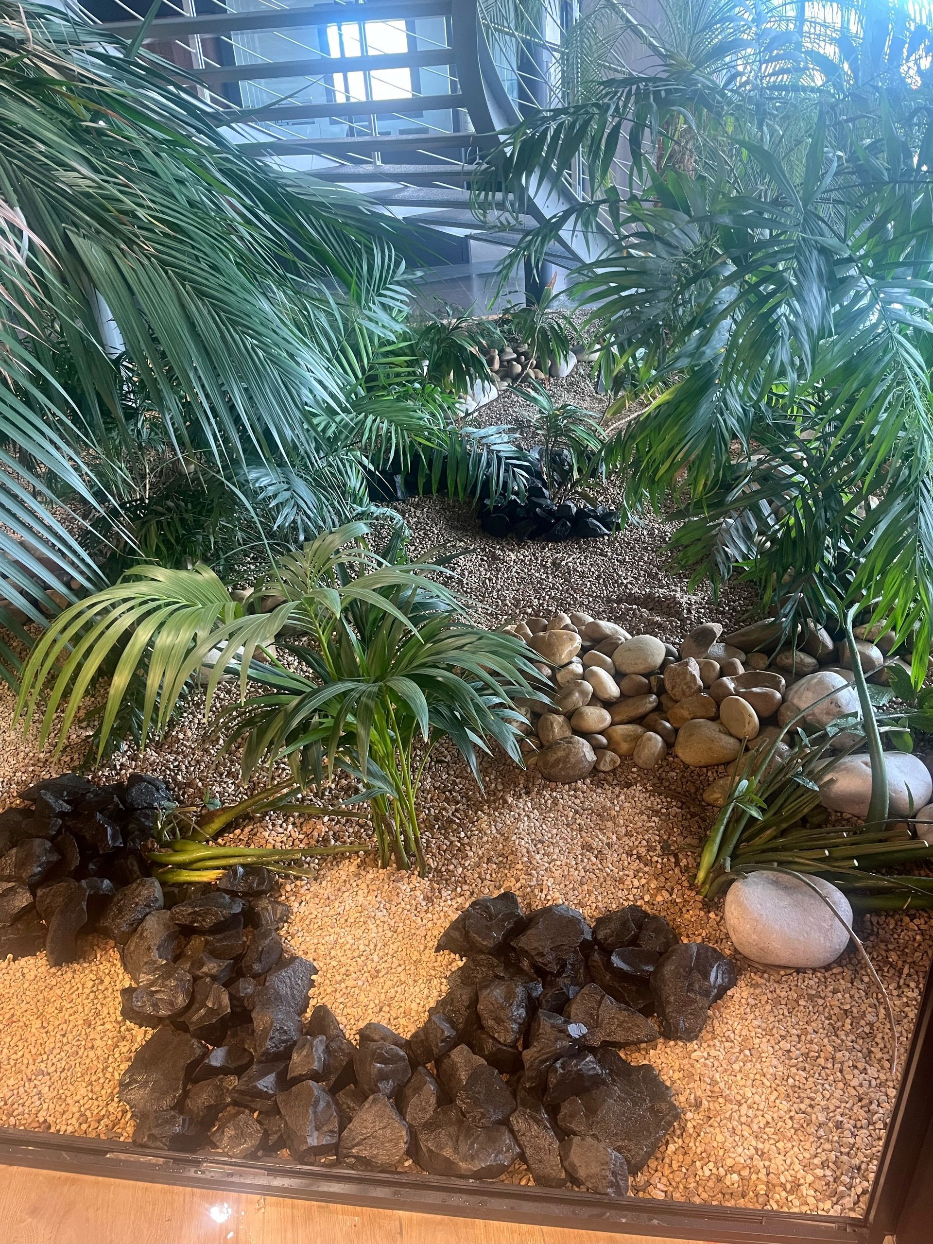 Massif exotique avec palmiers et galets