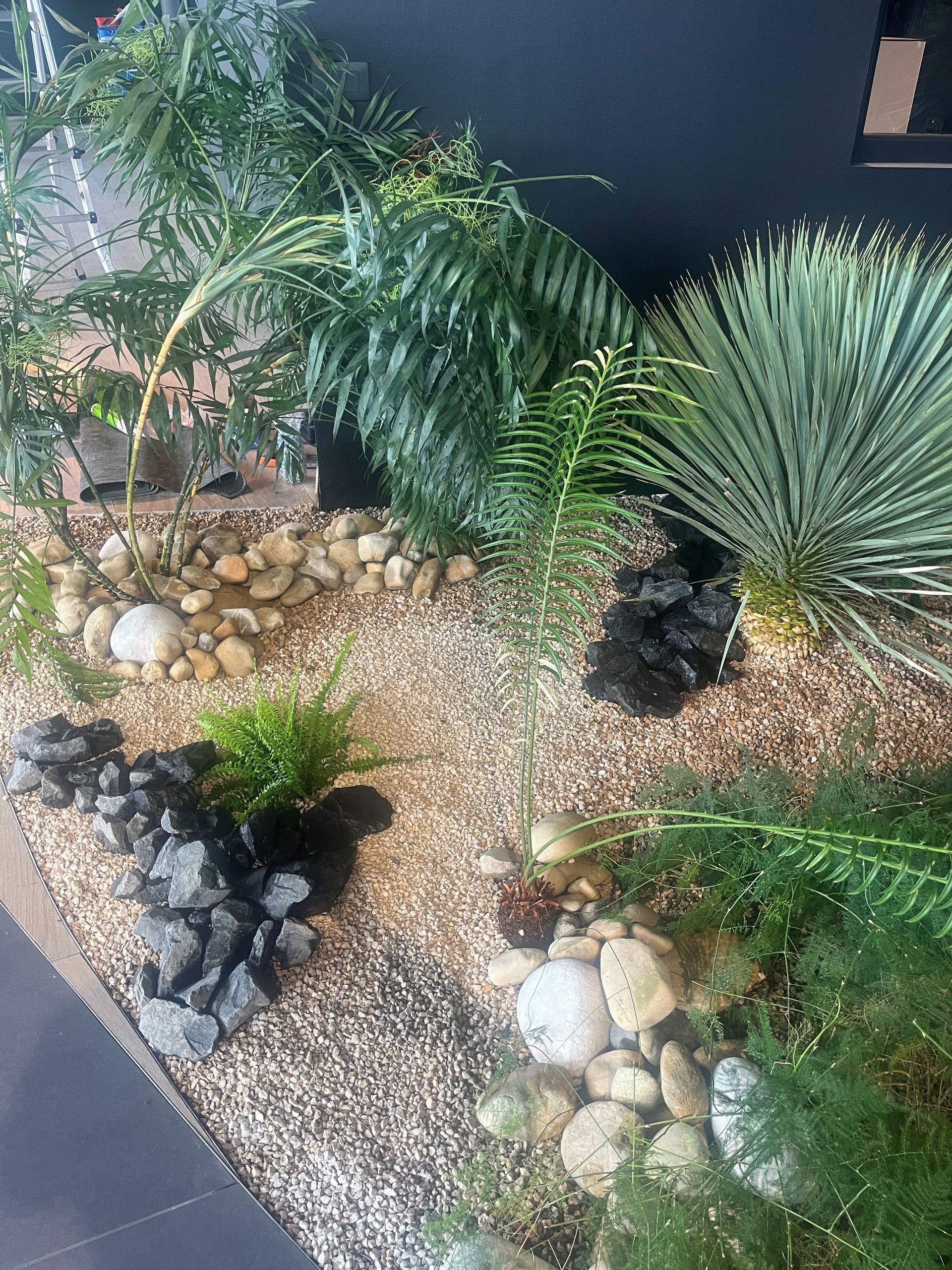 Massif avec palmier et plantes