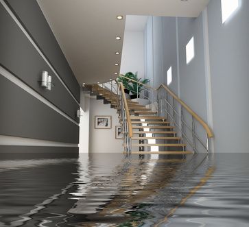 Durchfluteter, moderner Flur mit Treppenhaus und reflektierenden Deckenleuchten