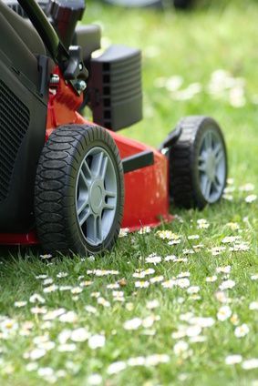 Nahaufnahme eines roten Rasenmäherrades, das Gras schneidet; in der Nähe befinden sich kleine weiße Blüten.