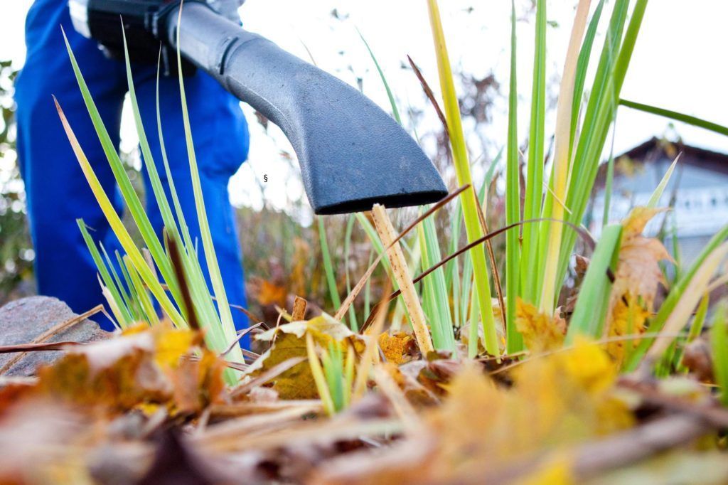 Eine Hand in einem blauen Ärmel zupft Unkraut zwischen Laub und Gras in einem Garten.