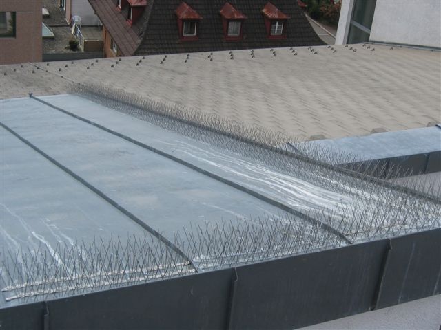 Metalldach eines Gebäudes, bedeckt mit glänzenden, reflektierenden Isolierplatten
