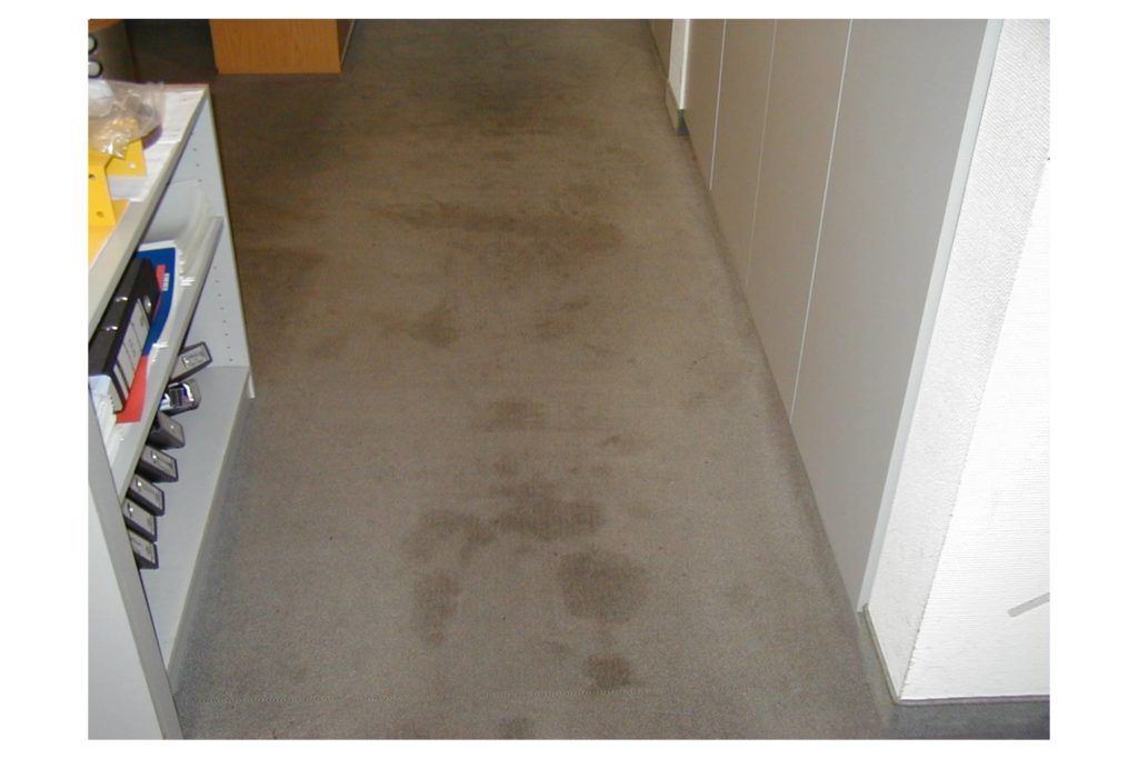 Schmaler Flur mit grauem Teppichboden, Schuhregal links und weißen Türen rechts.