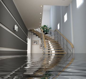 Ein lichtdurchfluteter, moderner Flur mit Treppe, grauen Wänden und Wasser, das die Innenbeleuchtung reflektiert.