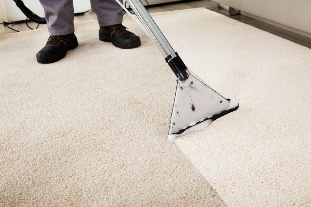 Ein Teppichreiniger saugt einen beigen Teppich in einem Zimmer ab.